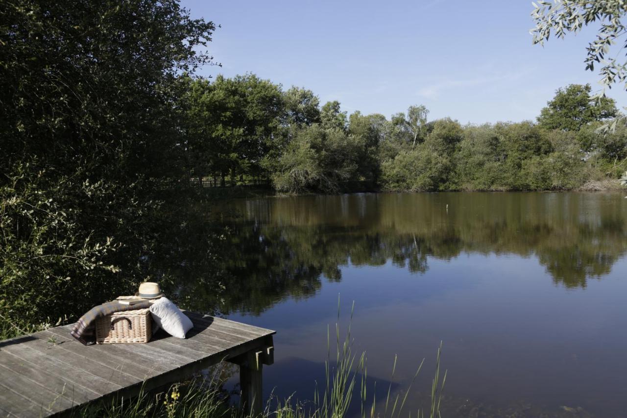 Willa Domaine De La Trigaliere Ambillou Zewnętrze zdjęcie
